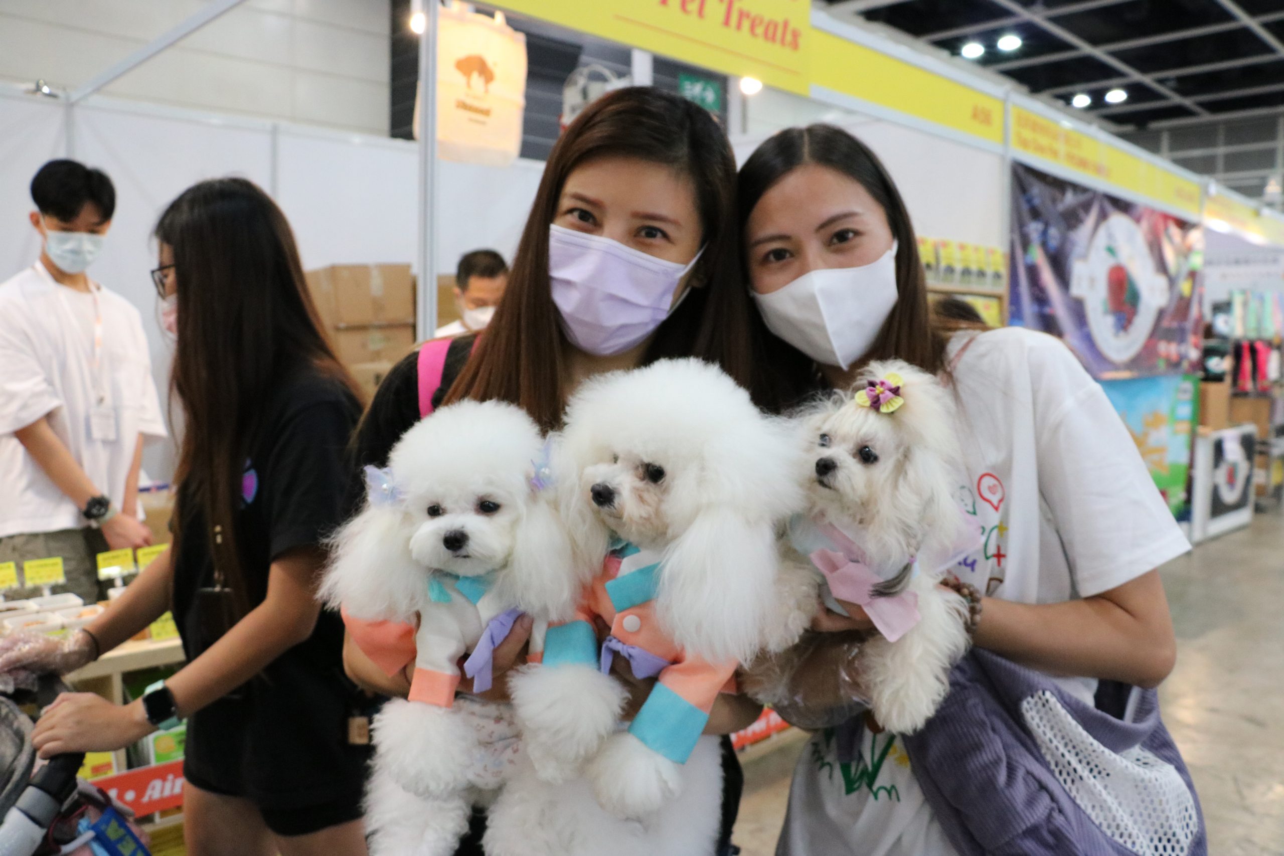 Hong Kong Pet Show promotes love and respect for animals The Young